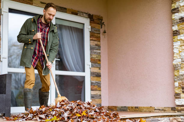 Best Affordable Junk Removal Services  in Ham Lake, MN